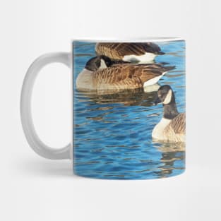 Multiple Canadian Geese Swimming Mug